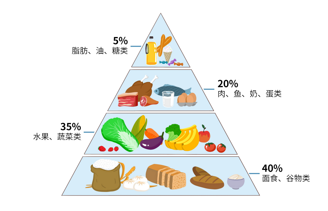 膳食結(jié)構(gòu)